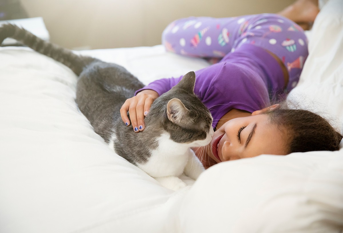 Young girl in pajamas looking at cat